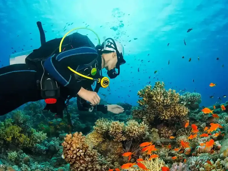 A diver working a coral reef in Komodo