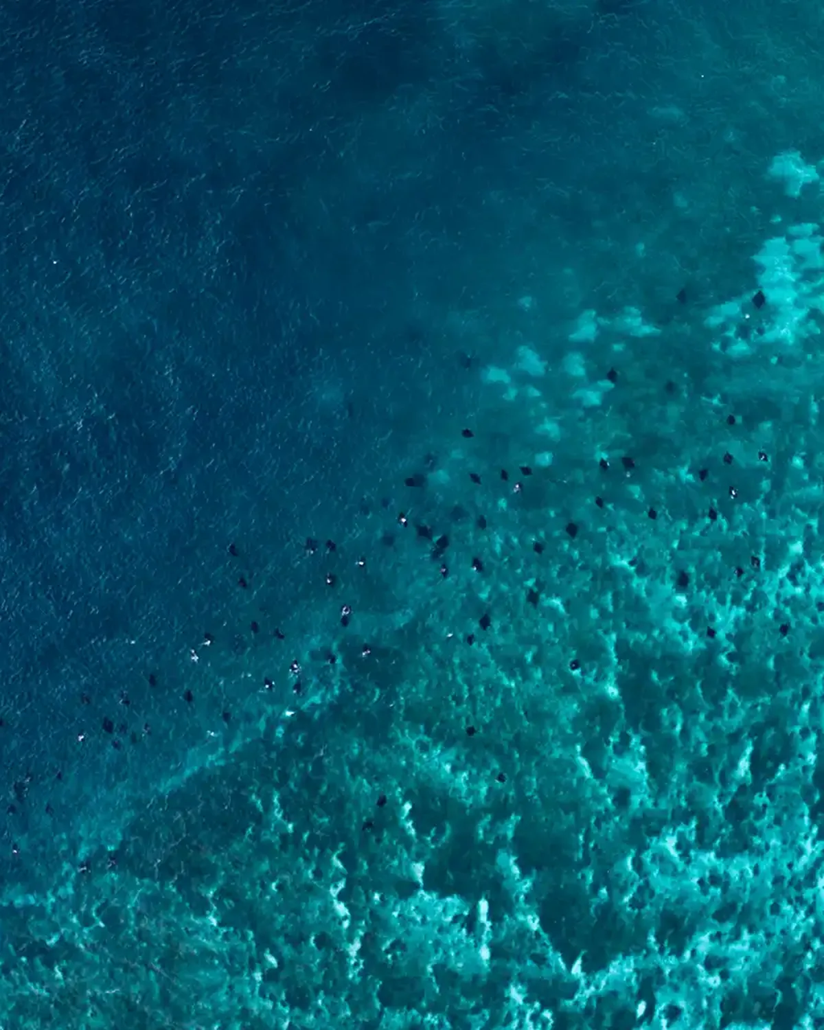 The reef plateau at Karang Makassar from the air