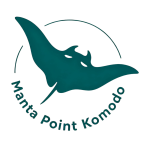 Manta Point Komodo