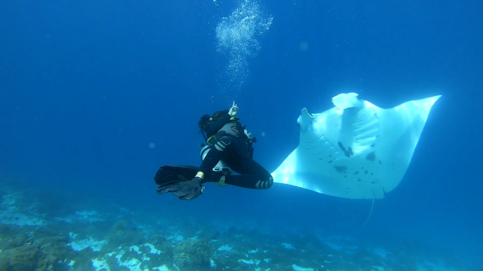First-Time Manta Snorkelling: Tips for a Great Day